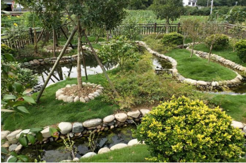 加強污水治理  助力鄉村振興